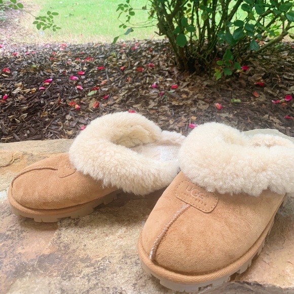 ugg coquette chestnut